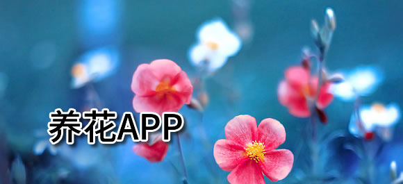 学种花的应用程序