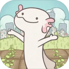 梦幻的城