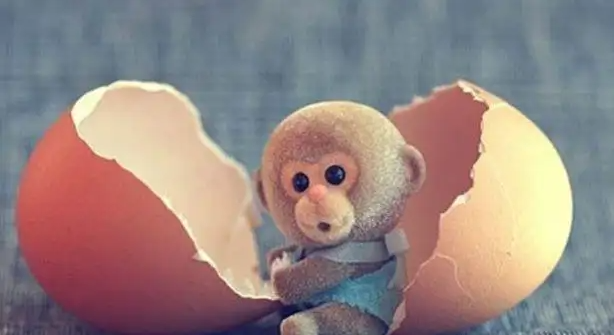 适合发牢骚的软件 