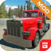美国卡车模拟器专业版