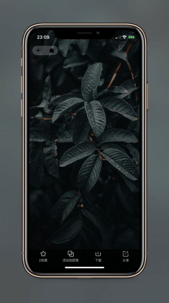 纸塘壁纸免费版