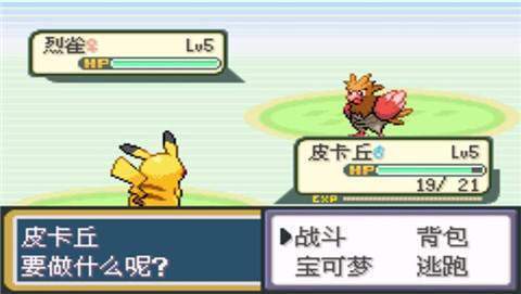 口袋妖怪圣灰汉化最终版