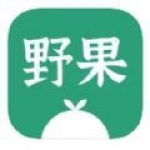 野果阅读海外版