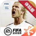 fifa足球世界比赛服