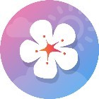 eternal sunset看日落软件