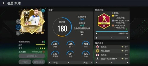 fifa足球世界比赛服