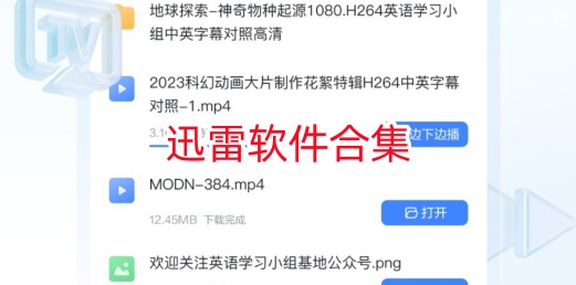 迅雷软件合集