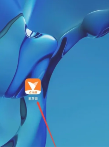 麦芽田怎么查询订单1