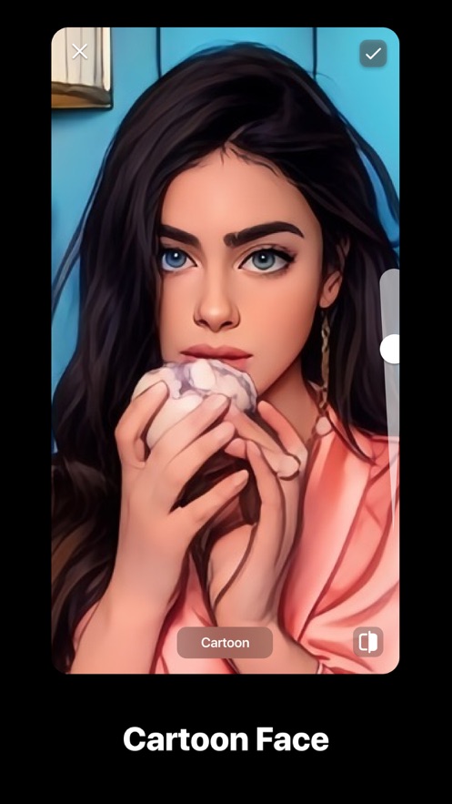 persona相机旧版本截图5