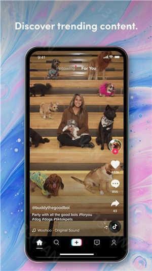 tiktok色板轻量版