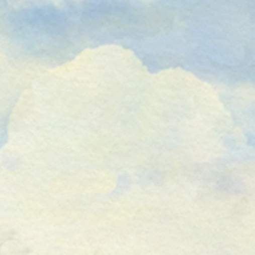 风子