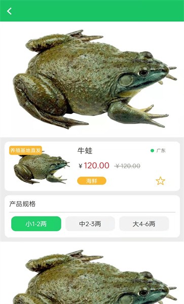 晓能批发客户端app截图3