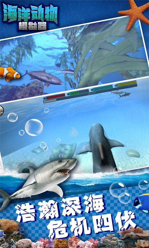海洋动物模拟器属性增强版
