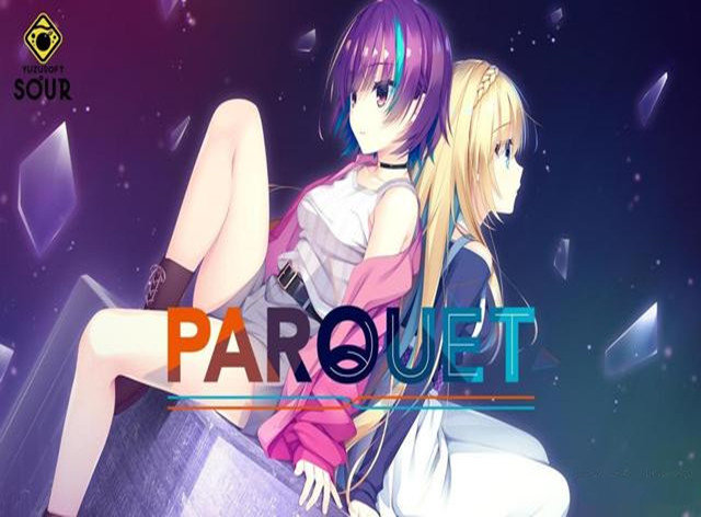 PARQUET汉化