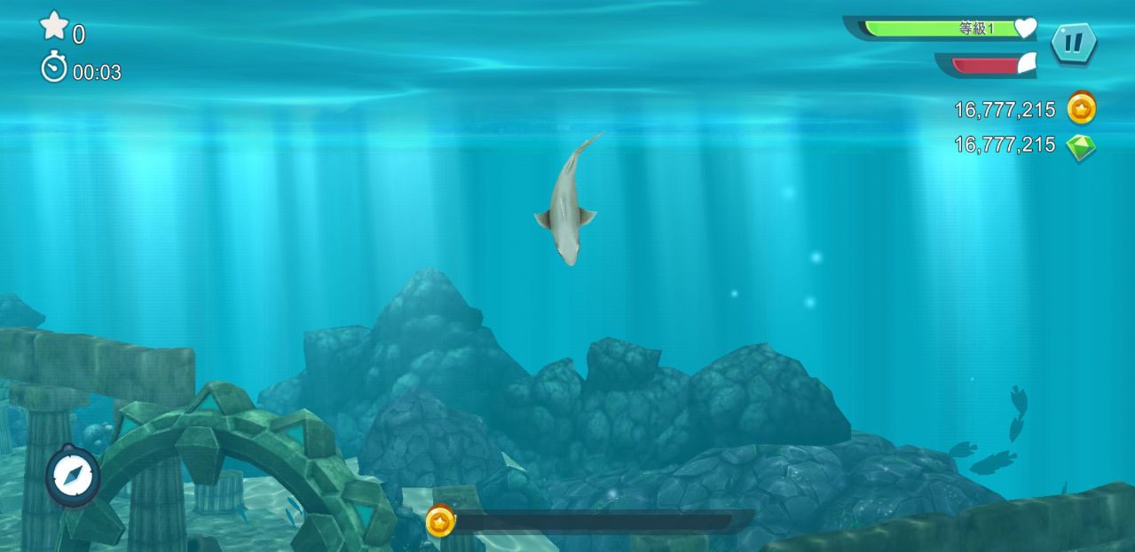 Hungry Shark