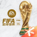 FIFA足球世界杯