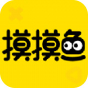 摸摸鱼华为