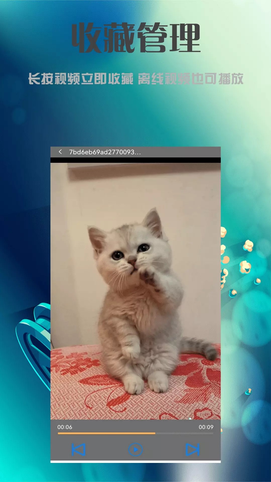 云播播放器截图3