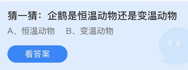 蚂蚁庄园:企鹅是恒温动物还是变温动物