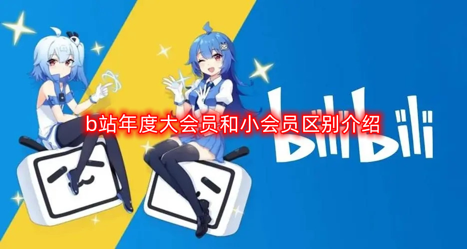 b站年度大会员和小会员区别介绍