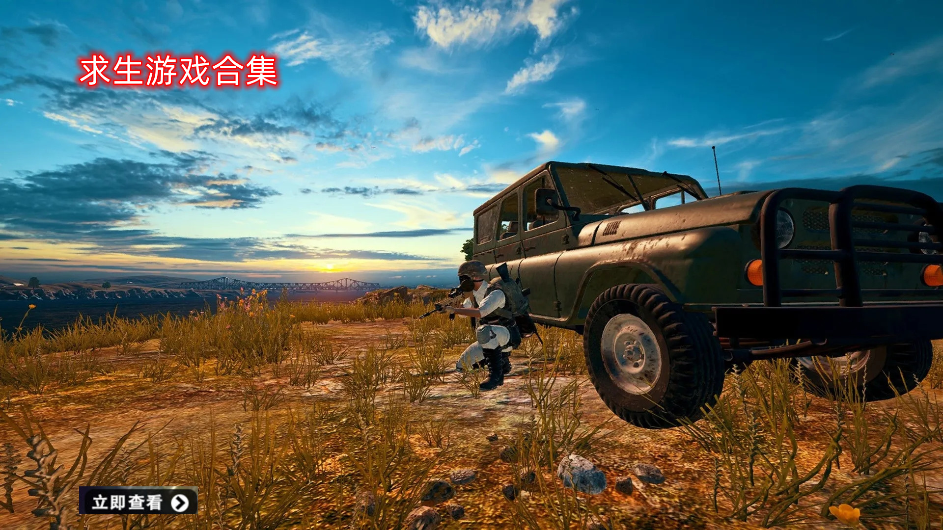 求生游戏大全