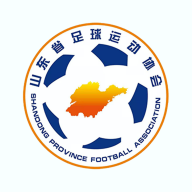 齐鲁足球苹果版