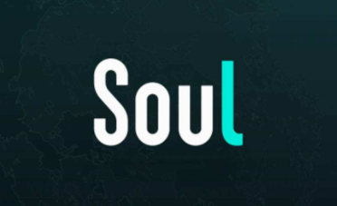 soul查找用户找不到是为什么