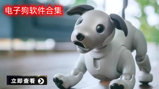 电子狗软件合集
