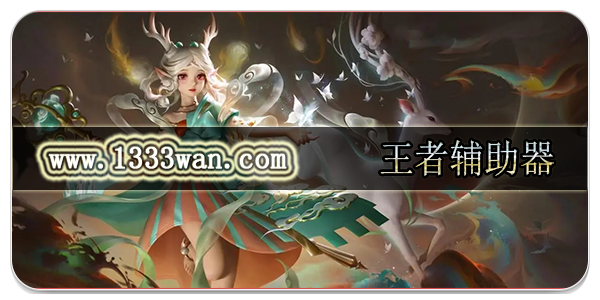王者荣耀辅助器