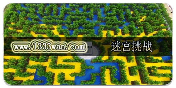 迷宫挑战