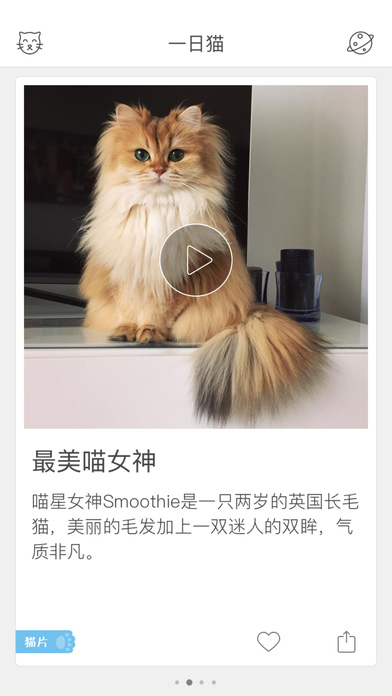 一日猫app最新版截图3