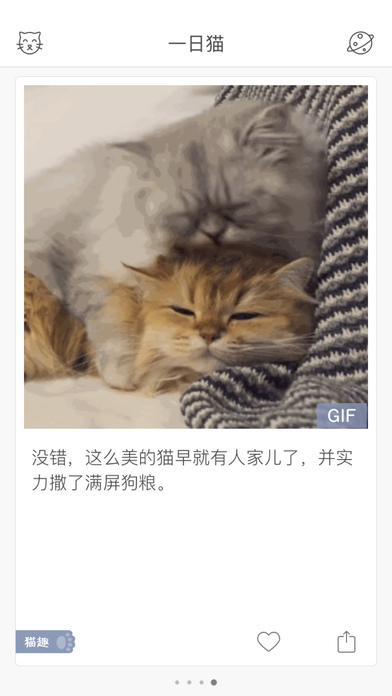 一日猫app最新版截图2