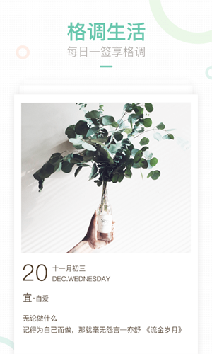 妈妈网手机版