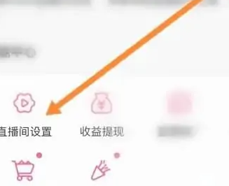 bilibili私人直播间
