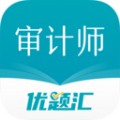 审计师优题汇2024