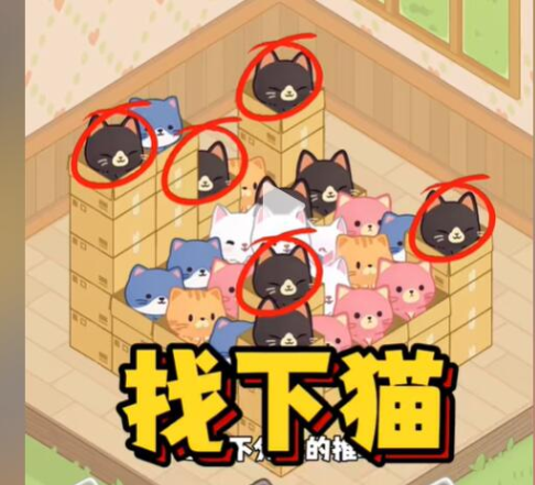 找下猫