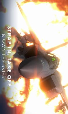 金属风暴国际服