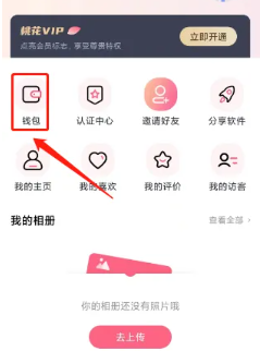 初见桃花