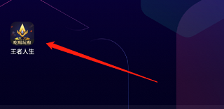 王者人生