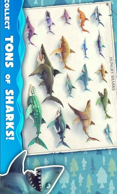 饥饿鲨世界国际服