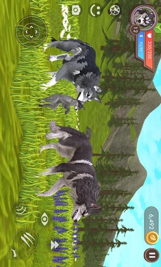 3D动物模拟器国际服