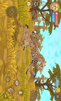 3D动物模拟器国际服