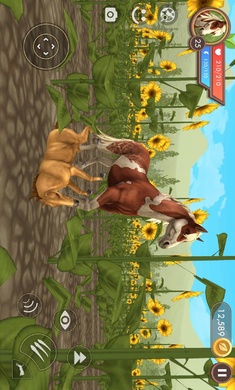 3D动物模拟器国际服