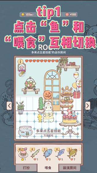 猫咪和汤国际服