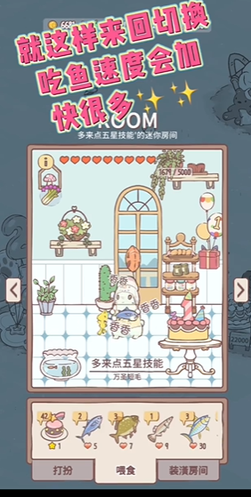 猫咪和汤国际服