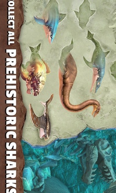 饥饿鲨史前世界