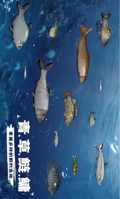 天天钓鱼