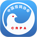 信鸽协会