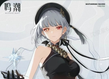 鸣潮散华培养攻略声骸搭配详解