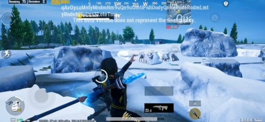 绝地求生国际服凛冬极境(PUBG MOBILE)